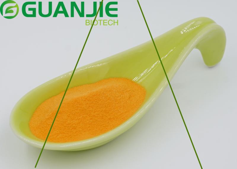 carrot bulk powder carrot bulk powder