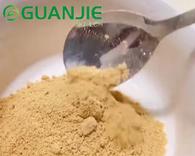 Jujube fruit powder Jujube fruit powder
